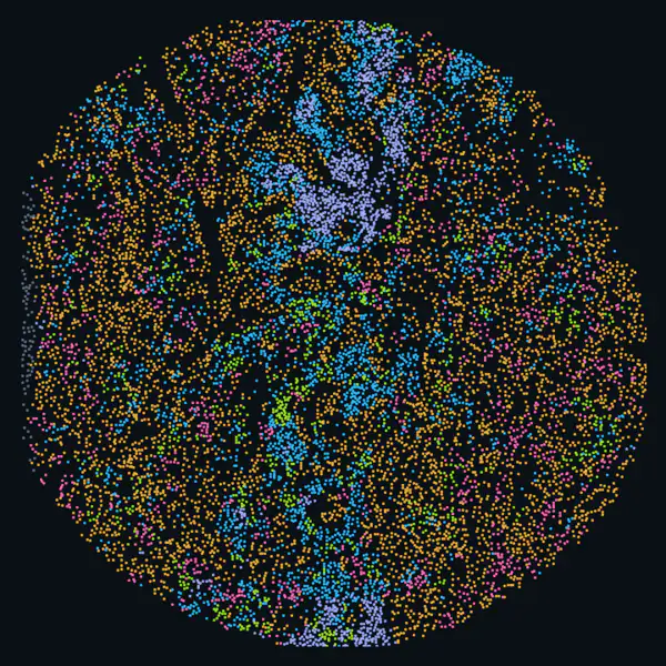 A tissue core with each cell coloured by its cellular neighbourhood. Animated, the same cells move between a UMAP of their neighbourhood composition and their place in the tissue.